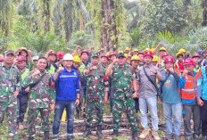 Maksimalkan Pelayanan, PLN Bersama TNI Bersihkan Jaringan Listrik