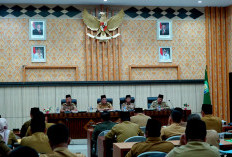 Wow! 794 Honorer Pemprov Bengkulu Terancam Dirumahkan, Ini Alasannya