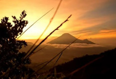 Desa Sembungan, Paling Tinggi Di Pulau Jawa, Tanahnya Subur, Terkenal Dengan Objek Wisatanya Yang Indah