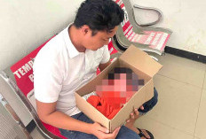 Bayi Laki-Laki Yang Dibuang di Seluma Dibawa ke RS Bhayangkara