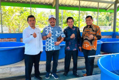 DPRD Provinsi Bengkulu Dorong Pengembangan Bibit Ikan