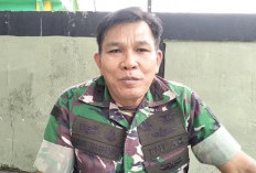 TNI Dorong Ketahanan Pangan di Kaur Selatan