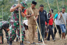 Sukseskan Program Unggulan KASAD, Dansatgas TMMD Ke-124 Kodim 0408 Bengkulu Selatan Tanam Jagung Bersama