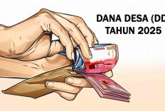 182 Desa di Seluma Belum Melakukan Pencairan DD