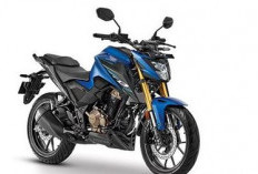 Keren Abis, Inilah Penampakan New Honda Tiger Reborn 2024, Desainnya Sangar