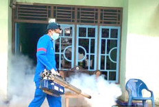 Cegah Penyebaran DBD, Petugas Dinkes Fogging di Dua Desa