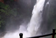 Keindahan Air Terjun Telun Berasap, Objek Wisata Tersembunyi di Taman Nasional Kerinci