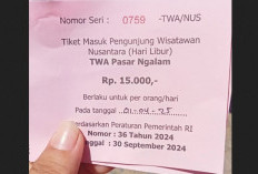 Pengunjung Wisata Pantai Cemoro Sewu Seluma Protes, Tiket Masuk Jadi Penyebab