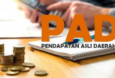 PAD Sektor Pariwisata di Kaur Belum Mencapai Target