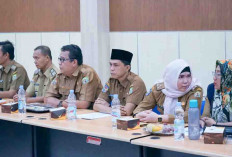 Pemprov Anggarkan Rp28 Miliar Untuk TPP Setiap Bulan