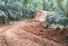 Semangat Satgas dan Warga Kebut Pembangunan Talud Program TMMD Ke-124 Kodim 0408 Bengkulu Selatan