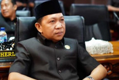 Begitu Banyak Pembudidaya Kolam Ikan, Bengkulu Selatan Butuh Pabrik Pakan