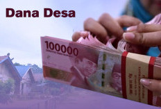 DD Harus Jadi Sumber Utama Pembangunan Desa