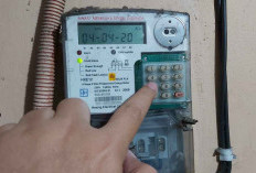 Berlaku Mulai April 2025! Ini Tarif Listrik per kWh untuk 13 Golongan Non-Subsidi