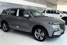 Ford Territory Jadi Bintang Baru, Mobil Eksklusif di Dunia Crossover yang Dibanderol Rp 477 Juta