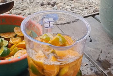 Solusi Petani Cerdas Menetralkan pH Tanah, Modal Kecil Hasil Maksimal
