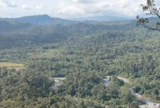 Jejak Si Pahit Lidah Di Bengkulu Selatan, Panggilan Tak Didengar, Dusun Sebakas Lenyap Seketika 