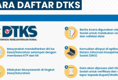 2 Cara Daftar DTKS agar Mendapatkan PIP dan KIP Kuliah 2025, Yuk Buruan Daftar 