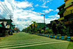 Fokus Penataan Jantung Kota, DLHK Bengkulu Selatan Kembali Tata Median Jalan