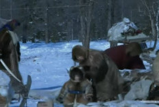 Suku Inuit, Kumpulan Manusia Sakti, Kebal Dingin, Sang Penakluk Tanah Beku di Kutub Utara