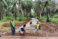 Jalan Desa Talang Padang Ditarget Mulus di Bulan Juli