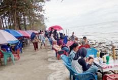 Wisatawan Luar Daerah Mulai Tertarik Kunjungi Pantai Pasar Bawah