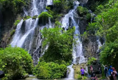 Gua Tetes Lumajang, Sejarah dan Mitos Air Terjun Tercantik di Jawa Timur