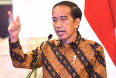 Jokowi Ingatkan Daerah Terkait Perubahan Iklim yang Bisa Memicu Inflasi