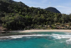 Pesona Pulau Peucang, Pulau Eksotis di Taman Nasional Ujung Kulon, Keindahannya Menyilaukan Mata