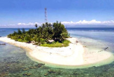 Pemprov Usulkan Pulau Tikus Direklamasi