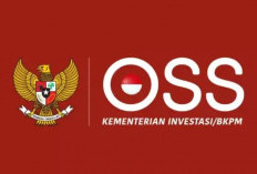 Pelaku Usaha Wajib Tahu Pentingnya Pelaporan Usaha di Aplikasi OSS