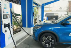 Perlu Tidak Mobil Hybrid Dicas? Ini Penjelasan Lengkapnya