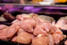 Jelang Ramadhan, Harga Daging Ayam Merangkak Naik