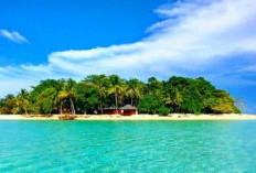 Keindahan dan Aktivitas Menarik di Pulau Sangalaki, Wisata Bahari Terpopuler di Indonesia