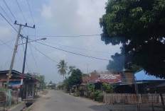 Lampu Jalan di Bengkulu Selatan Hanya Jadi Pajangan, PLN Diminta Lakukan Hal Ini
