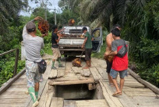 Membahayakan, Lubang Menganga di Jembatan Desa Cinto Mandi Belum Juga Ditutup