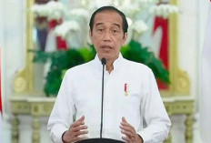 Jokowi Sebut Demokrasi Indonesia Baik Baik Saja