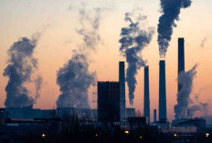 Tolak Energi Kotor dan Beralih ke Energi Bersih