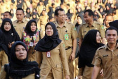 Tenaga Honorer Non Database BKN Masih Bisa Bekerja di Instansi Pemerintah Meski Gagal Seleksi PPPK 2024