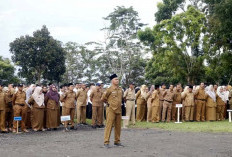 Bupati Tegaskan Jumlah ASN Seluma Sudah Lebihi Kebutuhan, Capai 6.018 Orang