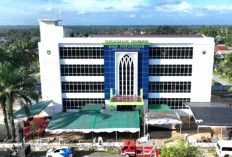 Dinas Perpusda Bengkulu Selatan Terus Berinovasi, Kembangkan Perpusling dan Pojok Baca