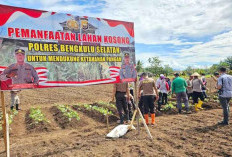 Polres Bengkulu Selatan Tanam Jagung, Ubi Jalar, dan Kacang Tanah