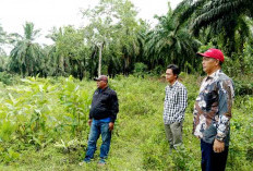 Dorong Ketahanan Pangan, Pemdes Talang Padang Realisasikan 20 Persen Dana Desa