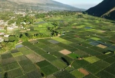 Pesona dan Keindahan Desa Wisata Sembalun di Lombok, Kombinasi Budaya dan Keindahan Alam yang Menakjubkan