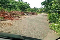 Kawasan Pinggir Jalan Padang Panjang Masih Jadi Tempat Pembuangan Sampah
