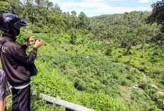 Sopir Tak Hapal Medan, Mobil Pajero Nyemplung ke Jurang