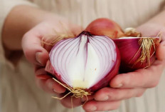 Bukan Hanya Sekedar Bumbu Dapur, Ini Manfaat Bawang Merah untuk Kesehatan Tubuh