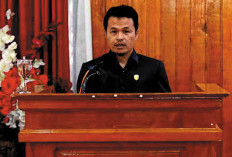 Cegah Lahan Sawah Musnah, Ini Saran DPRD Bengkulu Selatan
