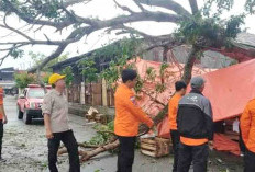 Bencana Alam Tinggi, BPBD Bengkulu Selatan Koordinasi ke BPJN Bengkulu