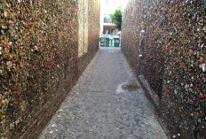 Bubblegum Alley, Destinasi Wisata Unik Mendunia, Berikut 5 Fakta Menariknya